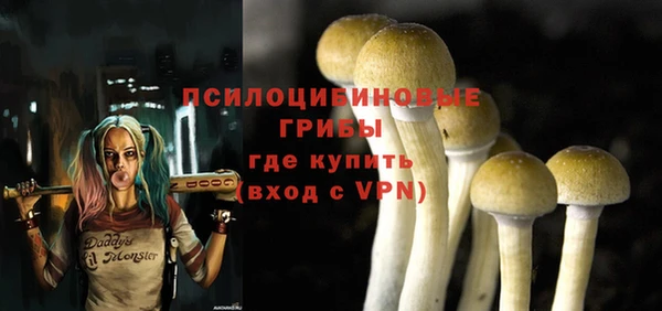 каннабис Беломорск