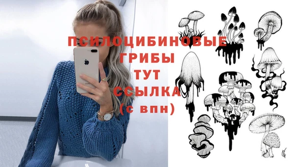 наркотики Белокуриха