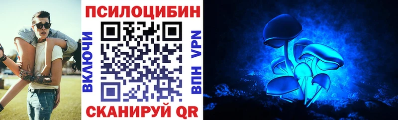 мега ССЫЛКА  Павловск  Псилоцибиновые грибы прущие грибы 